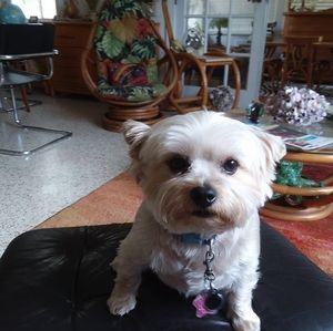 Meet your Posher, Eric